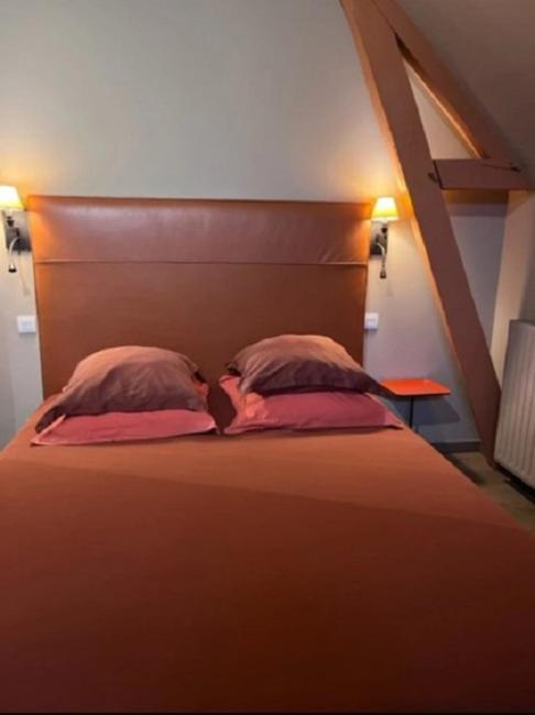 La Demeure De L'Ile Bed & Breakfast Craon  Exterior photo
